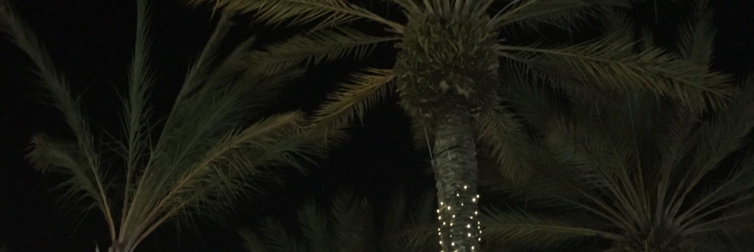 kenadymullder's profile banner image