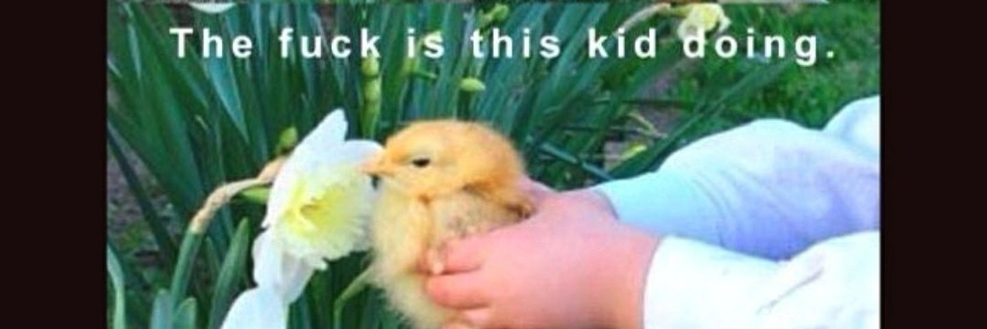 arbskku's profile banner image