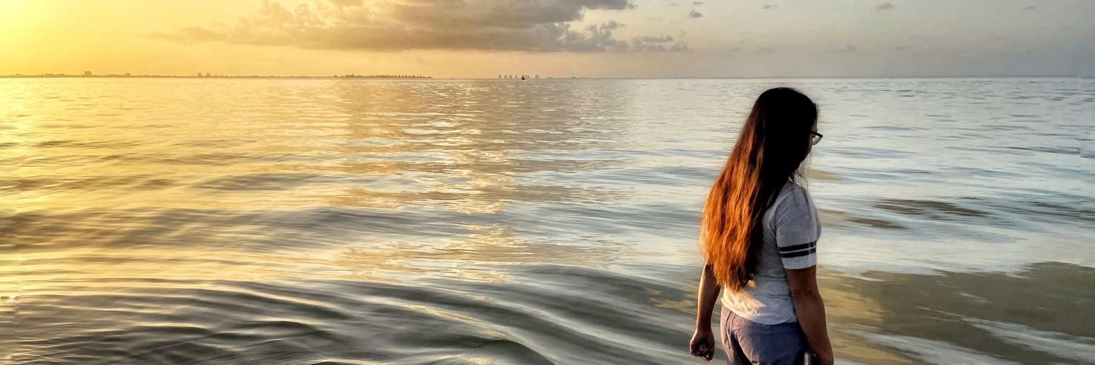 DulceMWard's profile banner image