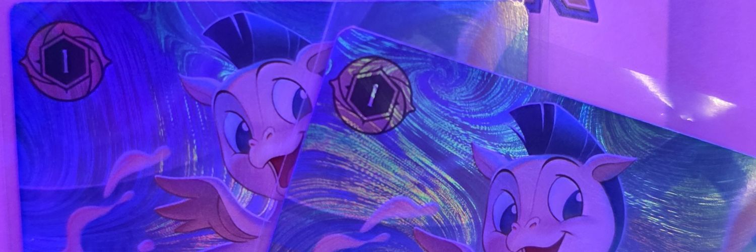 TurtleBauer24's profile banner image