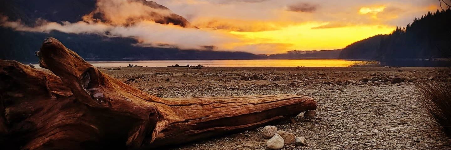 Paulyduby's profile banner image
