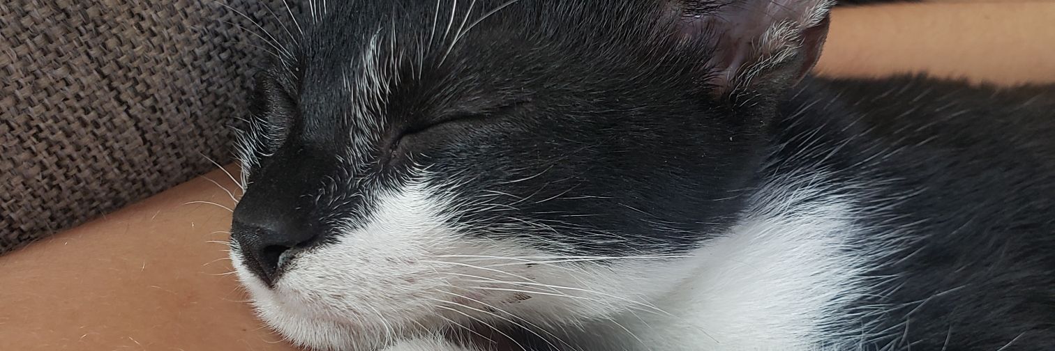 matilda_fage's profile banner image