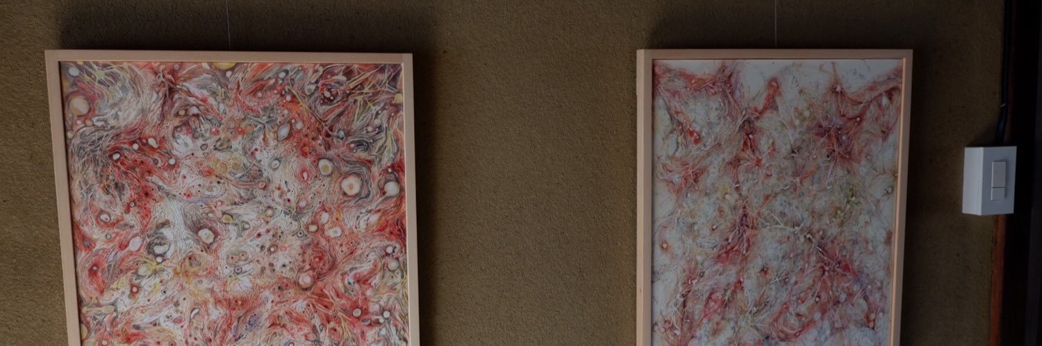 fmoooa's profile banner image