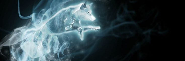 Tonksclan's profile banner image