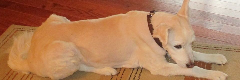 marystudeny's profile banner image