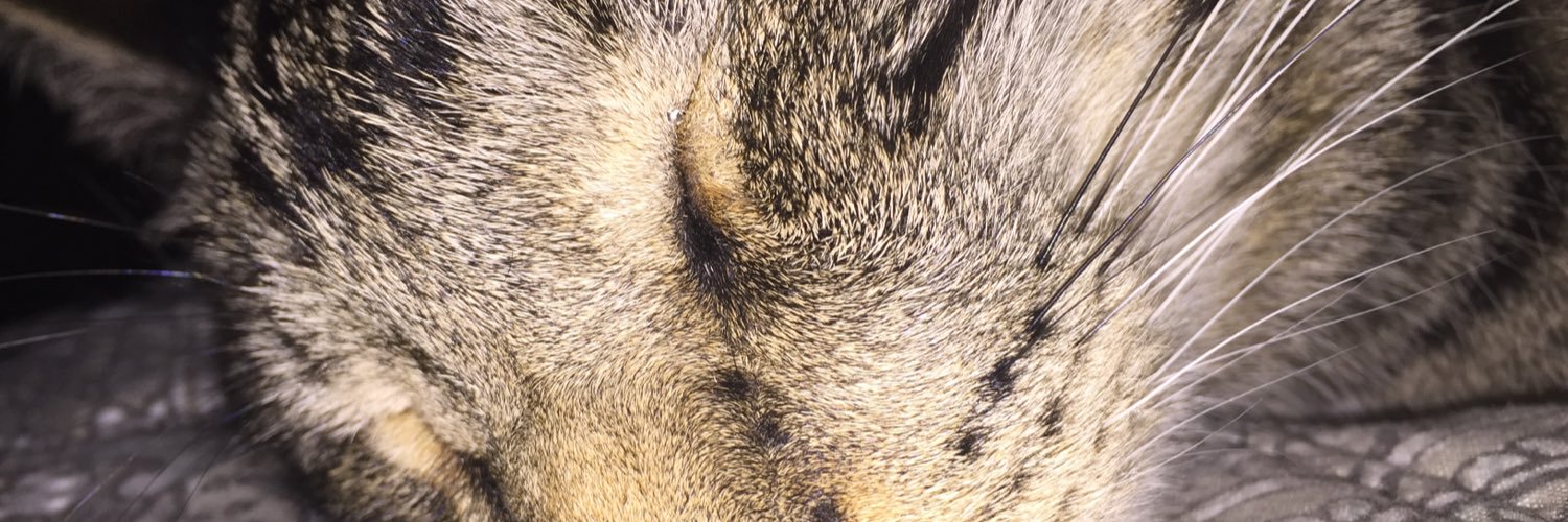 aidanrollins2's profile banner image