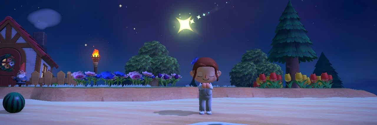 DanielaSucato's profile banner image