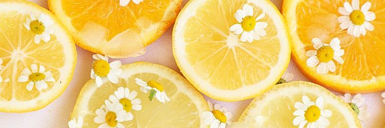 EMMA banner
