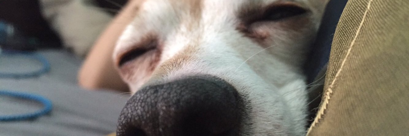 KappaMikey_'s profile banner image