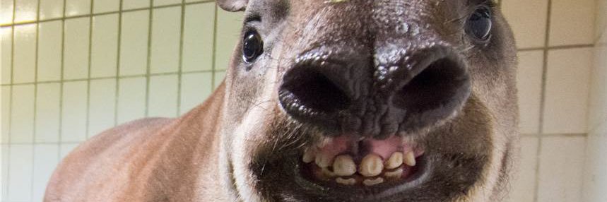 saggydingfro's profile banner image