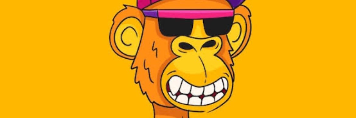 sdpmola's profile banner image