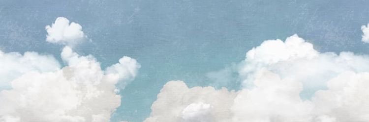 val_mla's profile banner image