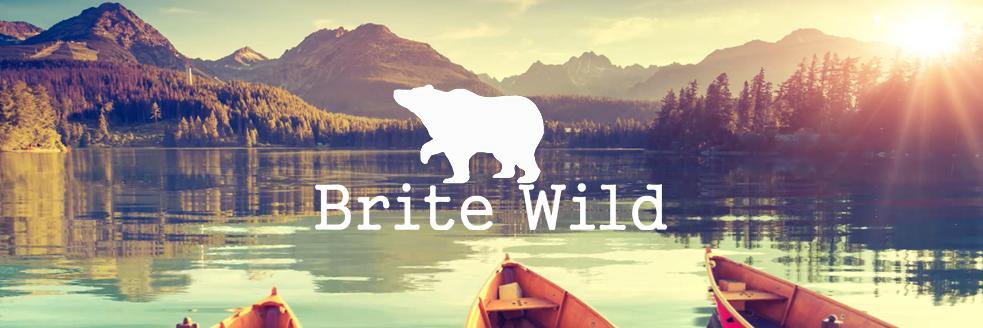 BriteWild's profile banner image