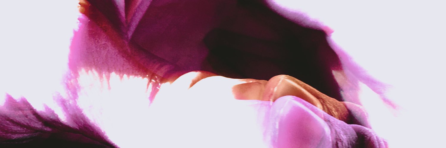 NoMorePiePlease's profile banner image