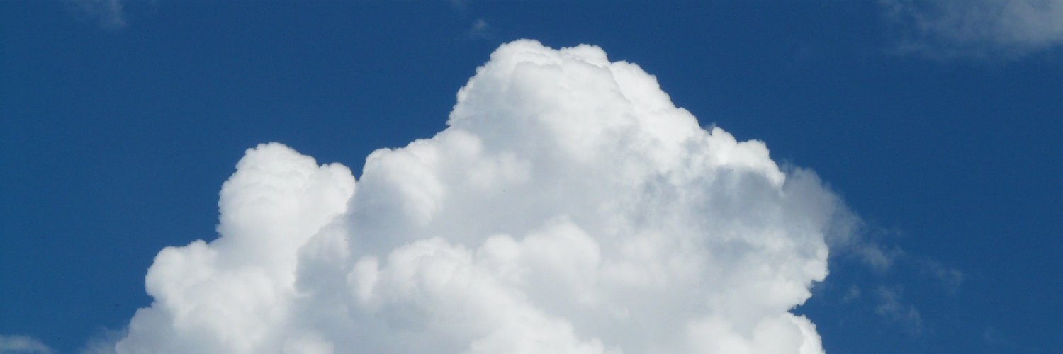 春见🌍🍊🥝🙊 banner