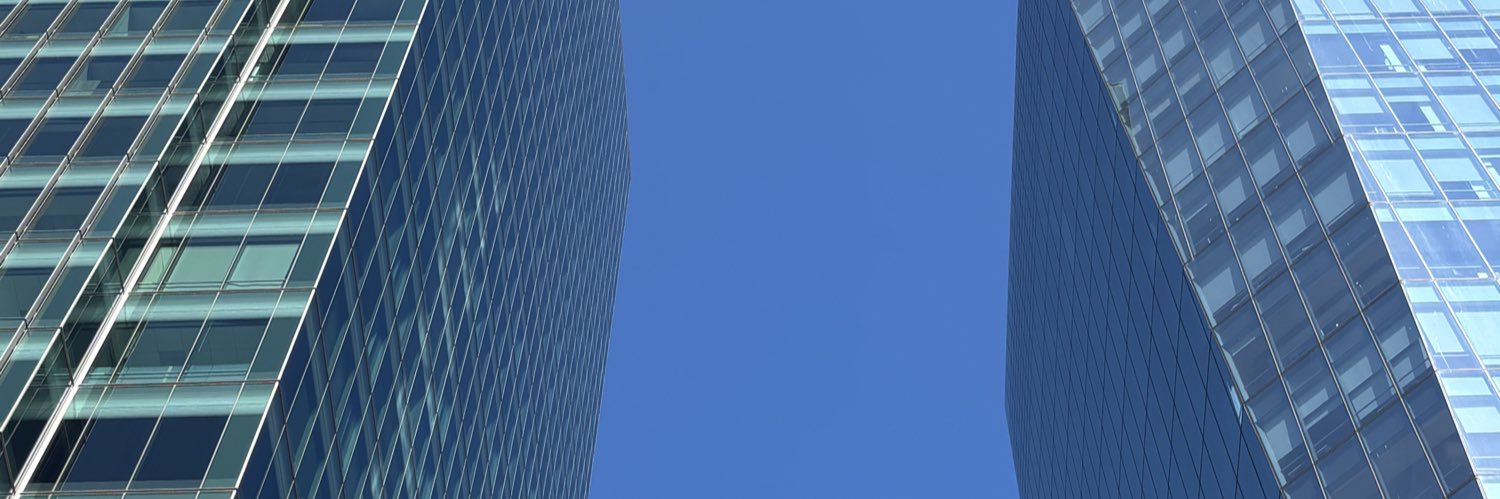 Elmar Weywadt Jóhannsson banner
