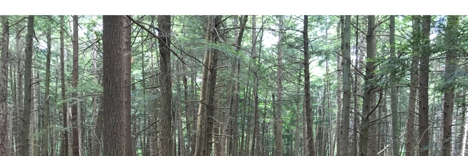 faslanyc's profile banner image