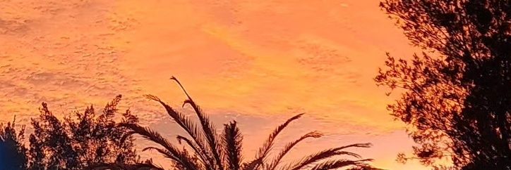mtz_grazz's profile banner image