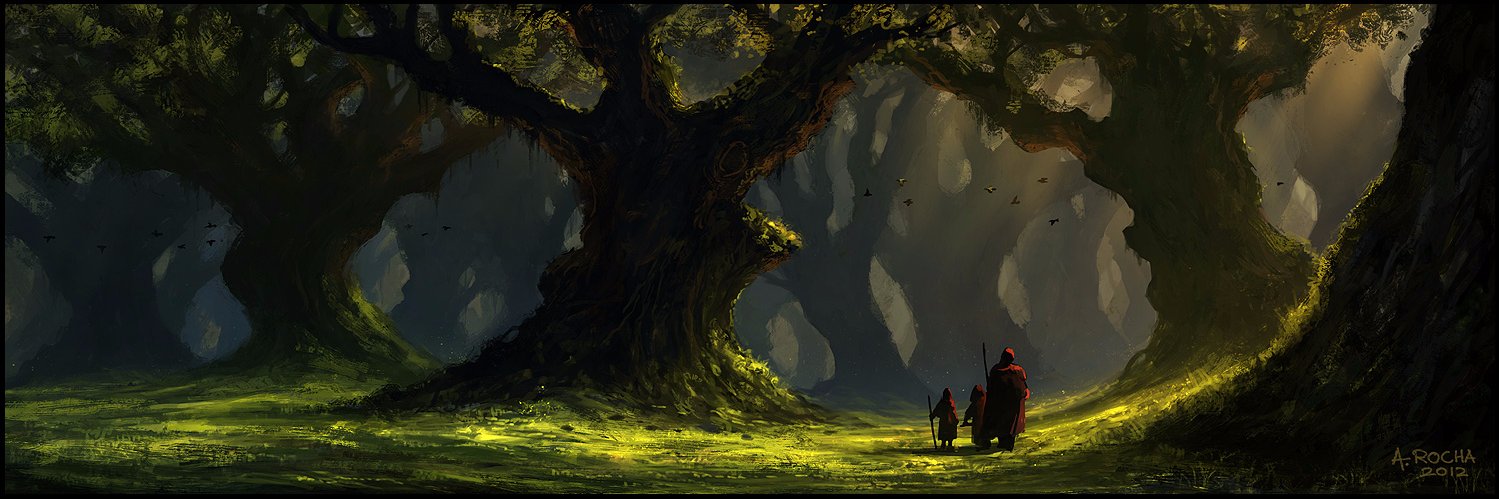 coolyrd's profile banner image