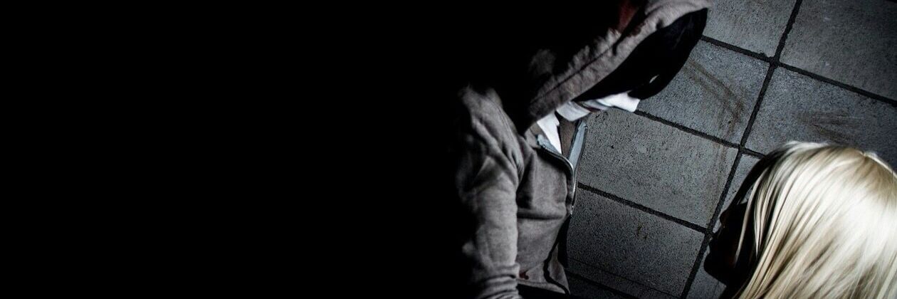 myxfairxmouse's profile banner image