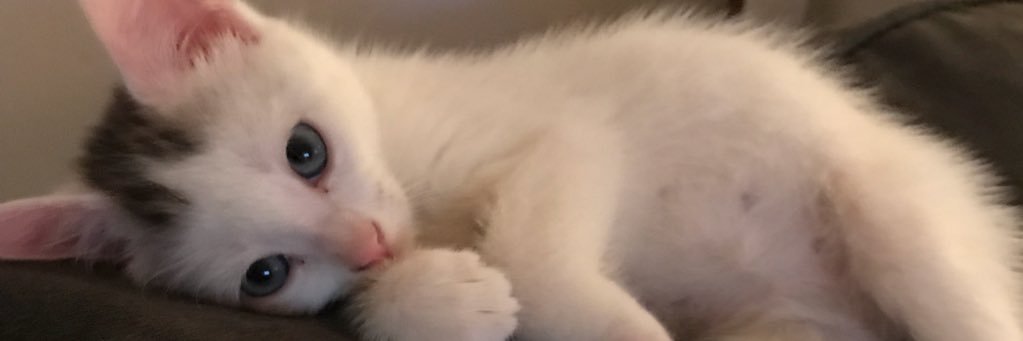 Chris_Marie92's profile banner image