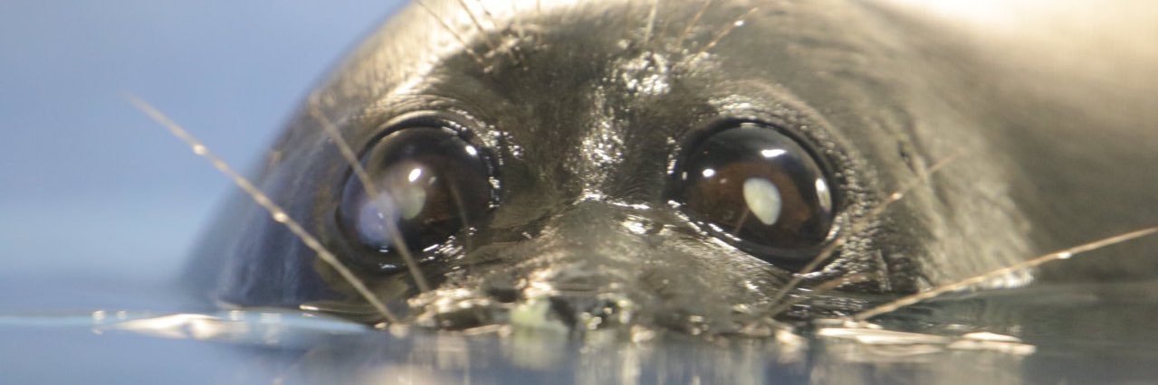 TheCanIsFull's profile banner image