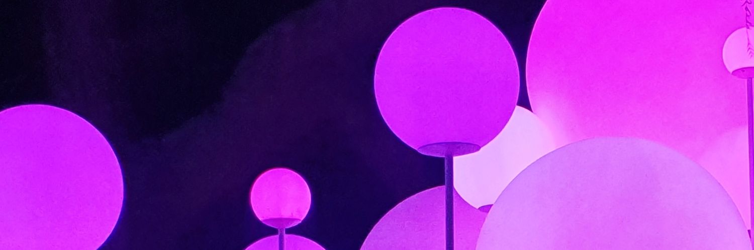 shelzc's profile banner image
