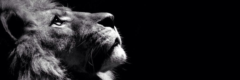 desmet_filmon's profile banner image