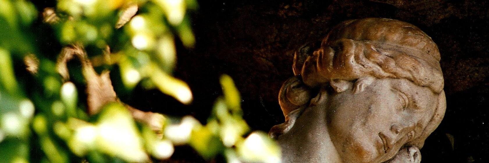 Margalida Capellà banner