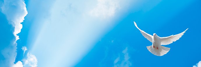 Alissia 💙 banner