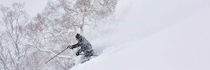 sheikkotaron's profile banner image