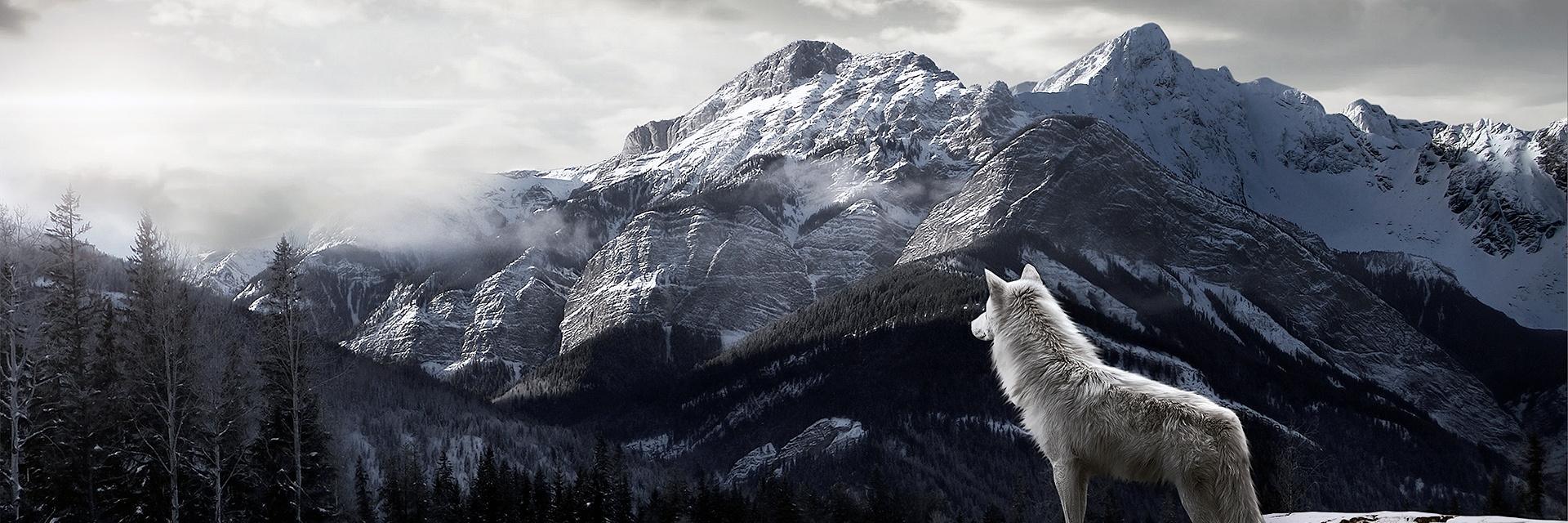 Anto_Grrr's profile banner image