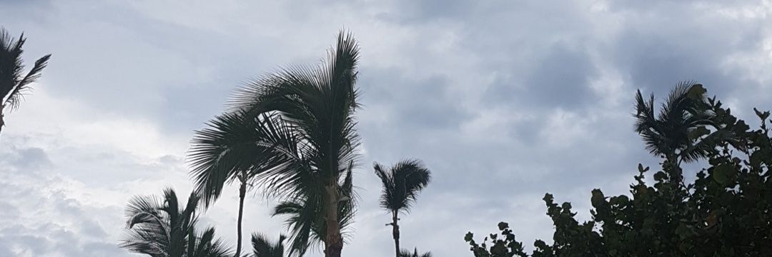 natitacamp's profile banner image