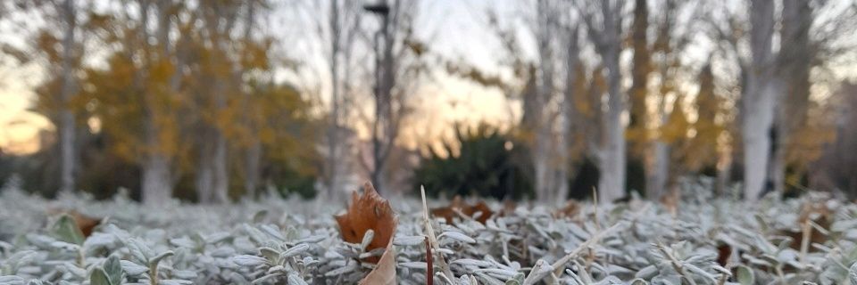 ejesuscobo's profile banner image