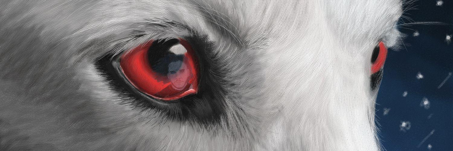 DiskeGeeK's profile banner image