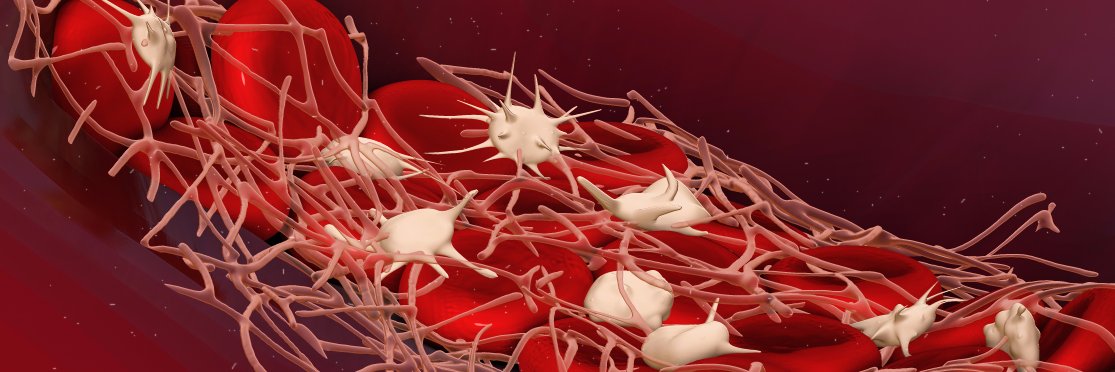 Synapse Research Institute banner