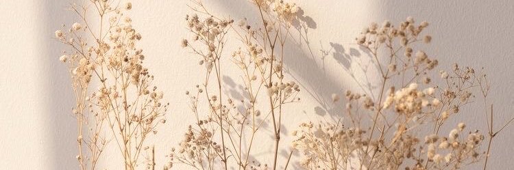 MirandaQuilez's profile banner image