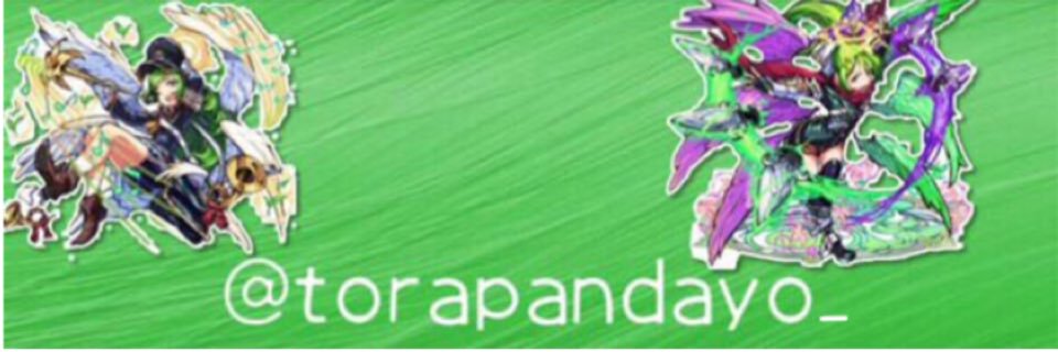 torapandayo's profile banner image