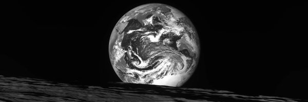 eggry Profile Banner