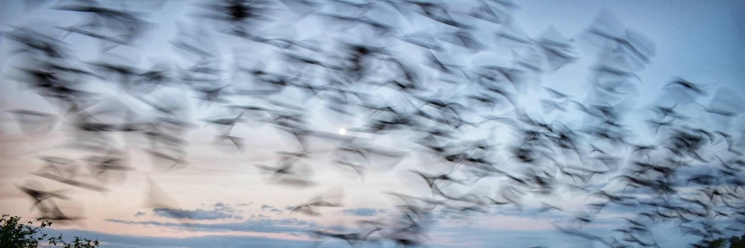 Rohit Chakravarty banner