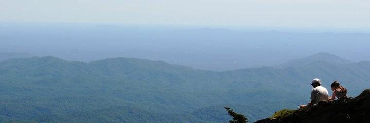 Deborah_Moazemi's profile banner image