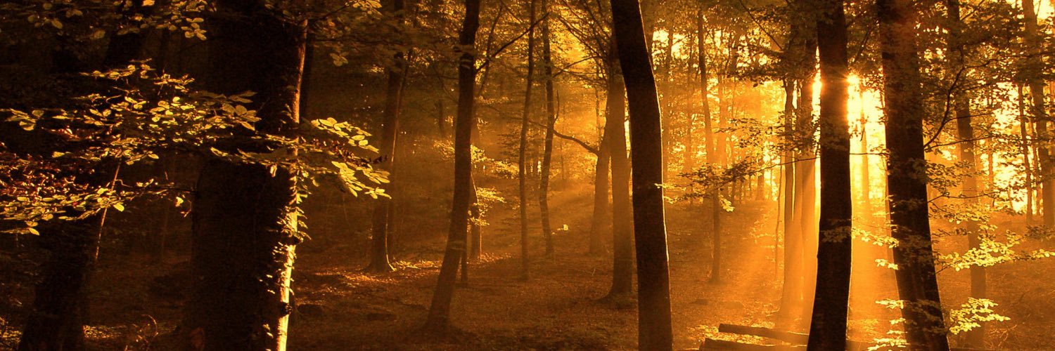 TheDeerSavior's profile banner image