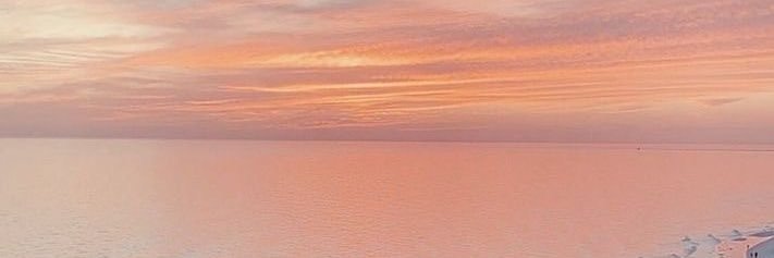 datffodil's profile banner image