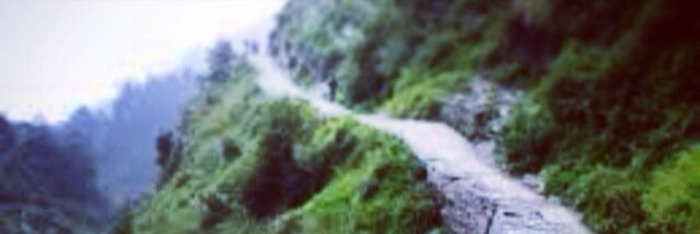 TrFrequency's profile banner image