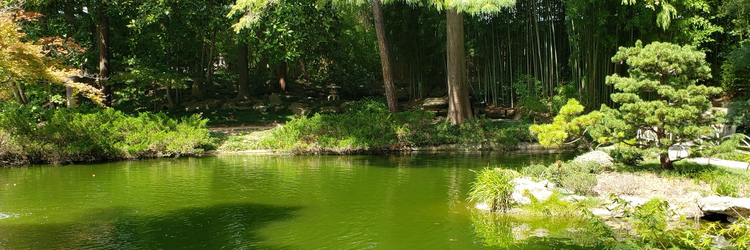 RedOlliePop's profile banner image