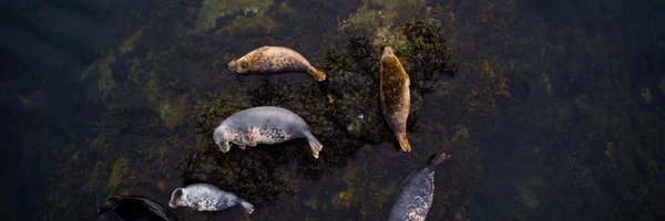 SianStacey1 Profile Banner