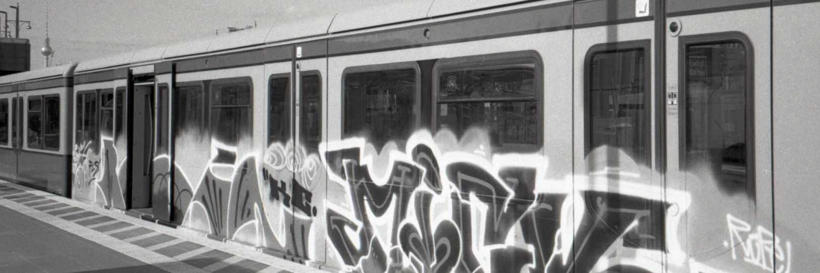 bifuca's profile banner image