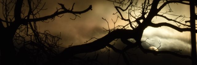NatBareiro95's profile banner image