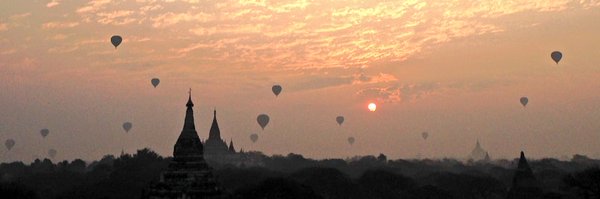 albatorroella Profile Banner