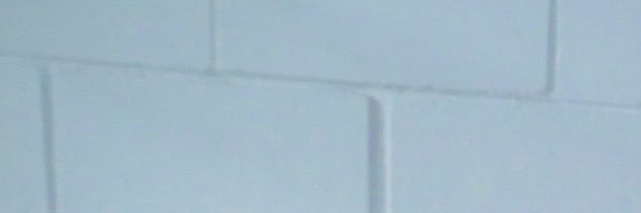 🪷, Naureen. banner